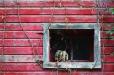 Barn Detail 1