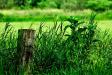 First Fencepost