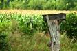 Third Fencepost