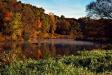 Fall Color [1]