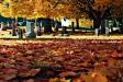 Seasons