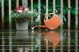 One Rainy Sunday in June ...