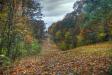 Al Sabo Autumn - 3