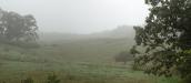 Another 'Another Foggy Morning'
