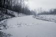 New snow