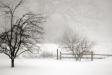 Snow Day