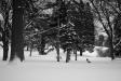 Kindleberger Snow
