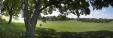 Crane Orchard, Fennville Mich.